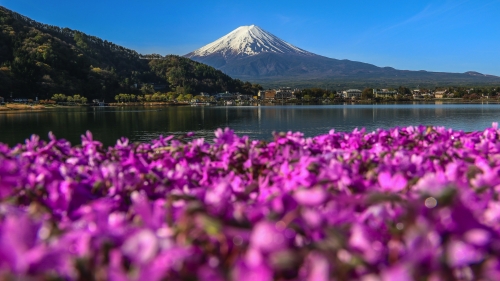 Berg Fuji auf der japanischen Hauptinsel Honsh?