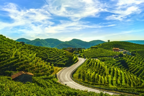 Prosecco Hills nahe Valdobbiadene in Venetien, Italien