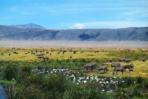 Ngorongoro-Krater