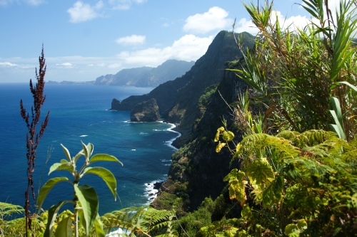 Küste von Madeira nahe Santana