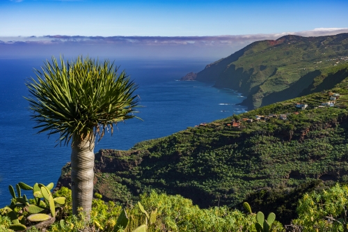 La Palma: Wanderung am Barranco Fagundo im Norden 