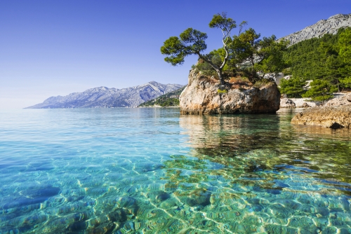 berühmter Felsen mit Kiefern in Brela in Kroatien