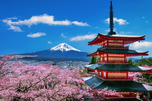 freepik_cherry-blossoms-spring-chureito-pagoda-fuji-mountain-japan