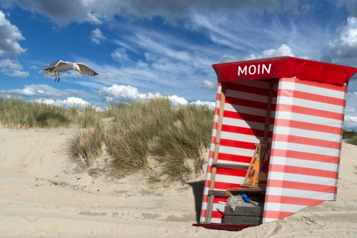 Strandkorb zwischen den Dünen an der Nordsee