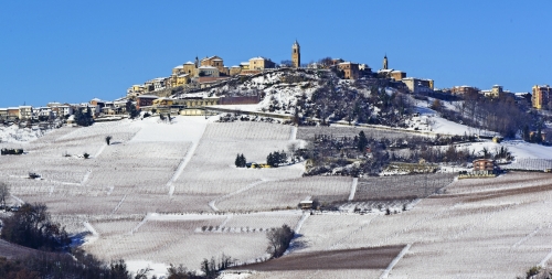 Langhe-Weinberghügel und das Dorf La Morra