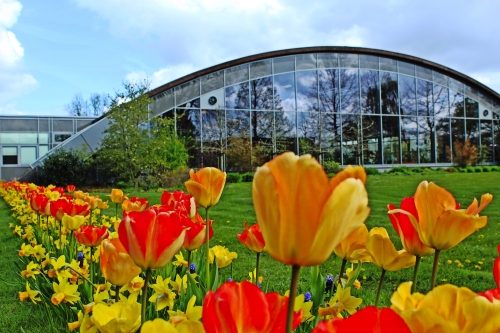 Wiesmoorer Blumenreich